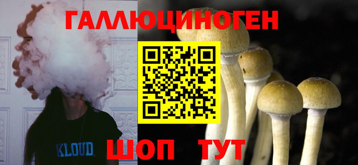 Галлюциногенные грибы Psilocybe Южно-Сахалинск